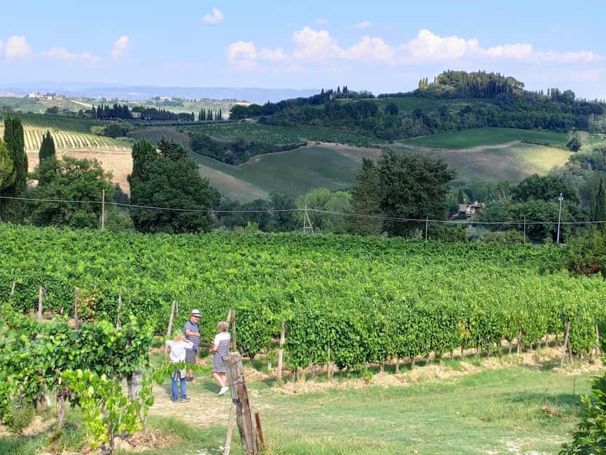 San Gimignano: Premium Wine Tour with Lunch - Final decision: should you book it?