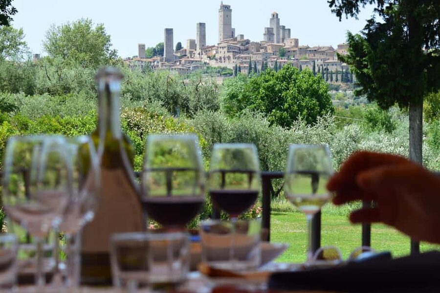 San Gimignano: Premium Wine Tour with Lunch - Walking through the vineyards and cellar