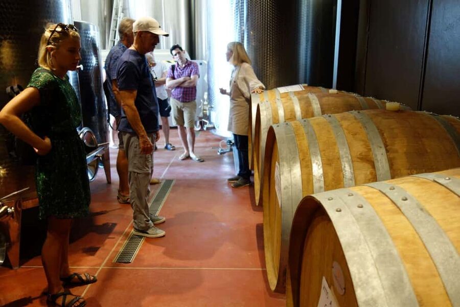 San Gimignano: Premium Wine Tour with Lunch - Lunch with Tuscan classics