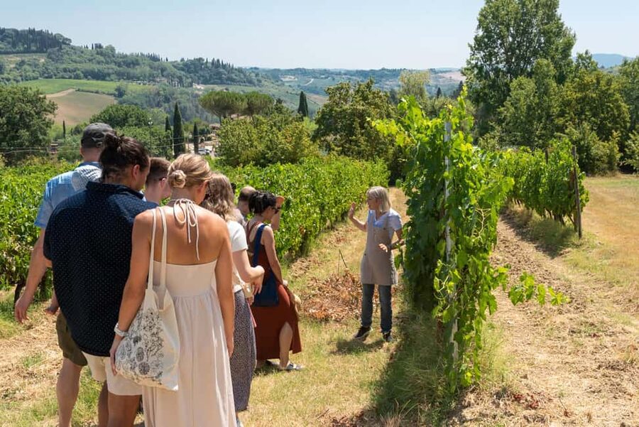 San Gimignano: Premium Wine Tour with Lunch - Who will enjoy it most