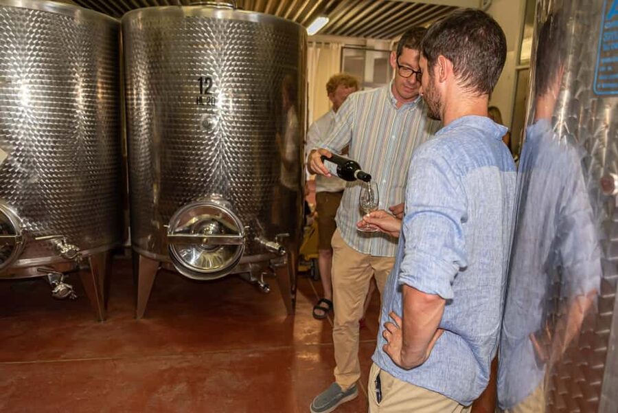 San Gimignano: Premium Wine Tour with Lunch - Practical value at $77 per person