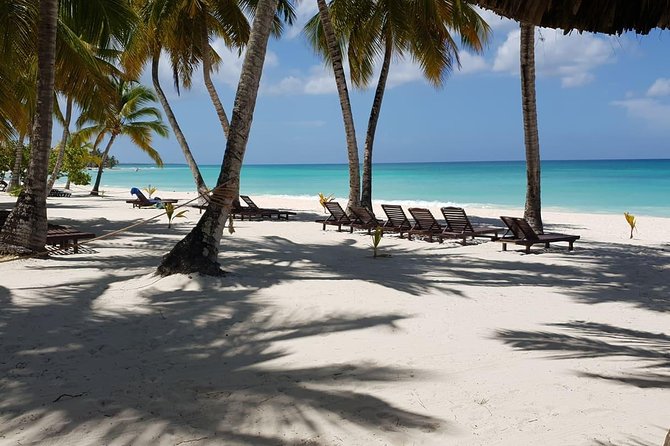 Saona Island small group and relax - luxury catamaran - Saona Island and its pale beach