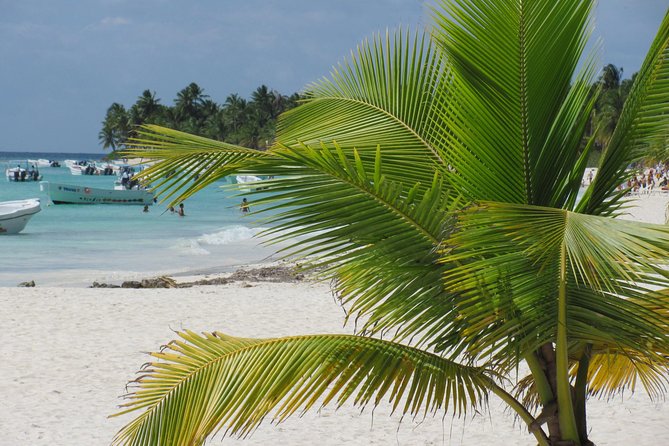 Saona Island small group and relax - luxury catamaran - Starting from Bayahibe at 7:30 a.m.