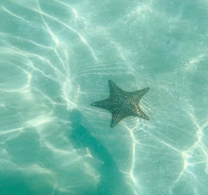 Saona Island VIP: 4 Beaches , Mano Juan & Canto de la Playa - The morning coach ride from Punta Cana or La Romana