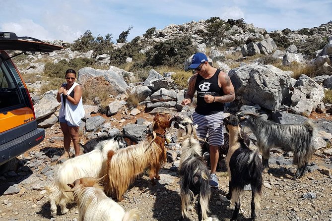 Sarakina Gorge, Kritza, Oliveoil Tasting, Mountains, South Coast - Swimming at Myrtos and the Libyan Sea