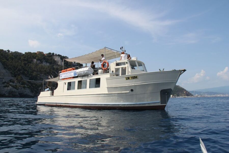 Savona: Exclusive nature cruise to the Pelagos Sanctuary - Searching the Ligurian Sea for wild animals