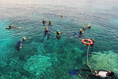 Seastar Luxury Outer Great Barrier Reef Island and Reef Tour