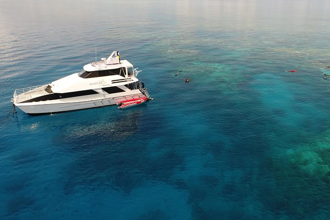 Seastar Luxury Outer Great Barrier Reef Island and Reef Tour - What the crew does well