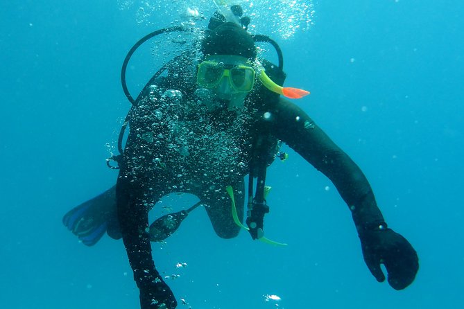 Seastar Luxury Outer Great Barrier Reef Island and Reef Tour - Scuba options and medical checks
