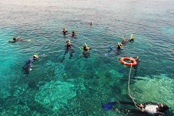 Seastar Luxury Outer Great Barrier Reef Island and Reef Tour - Leaving Cairns at 7:30 a.m.