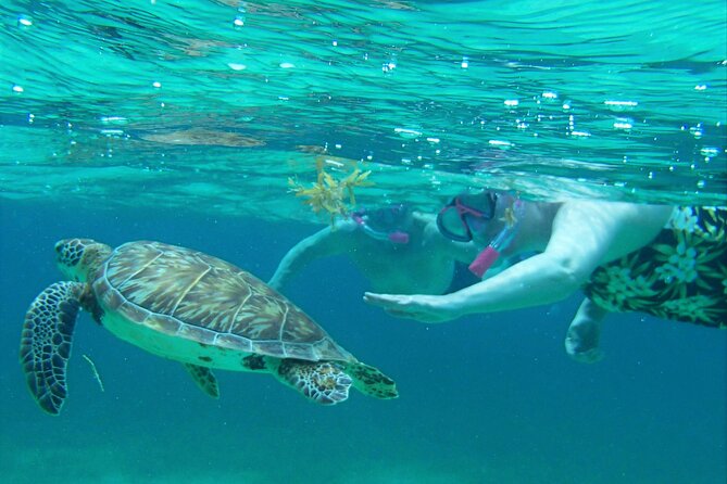 Semi-private Exclusive All-in-1 Full Day Guided Tour - Why this small-group boat trip works