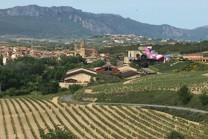 Semi-Private Rioja Tour of 3 Premium Wineries from Bilbao - The guides make a real difference