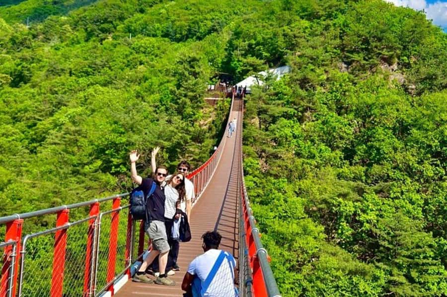 Seoul: DMZ Tour with Exclusive North Korean Defector Meet-Up - What makes the guiding work