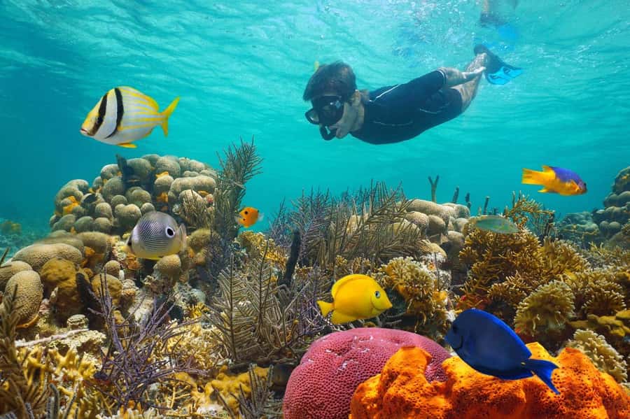 Sharm El Sheikh: Luxury boat Cruise with Snorkeling & Lunch - A full Red Sea day from Sharm El Sheikh