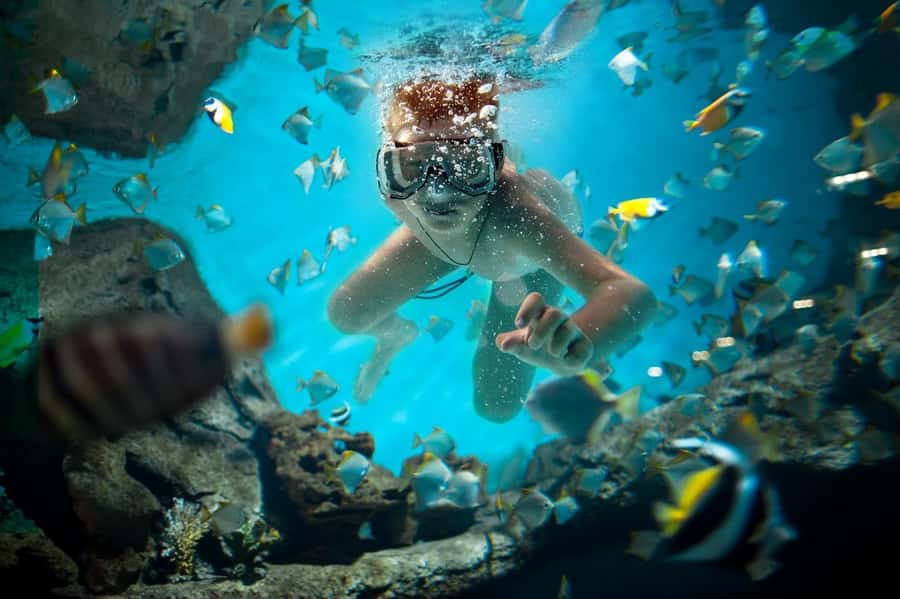 Sharm El Sheikh: Luxury boat Cruise with Snorkeling & Lunch - Snorkeling above Ras Muhammad’s coral reefs