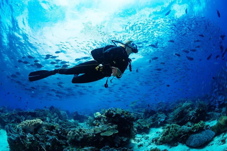 Sharm El Sheikh: Luxury boat Cruise with Snorkeling & Lunch - White Island and the tide-dependent sandbar