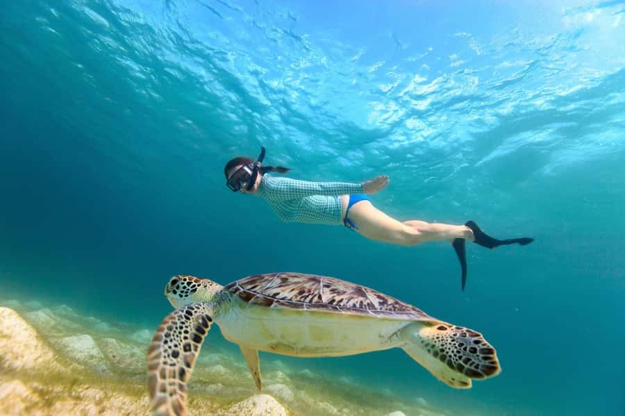 Sharm El Sheikh: Luxury boat Cruise with Snorkeling & Lunch - Lunch on the yacht
