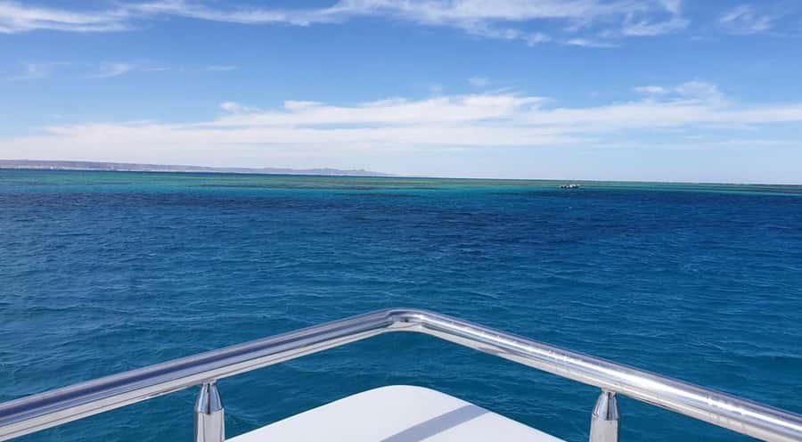 Sharm El-Sheikh: Luxury Ras Mohammed & White Island Cruise - First reef stop: your best chance to see Red Sea marine life