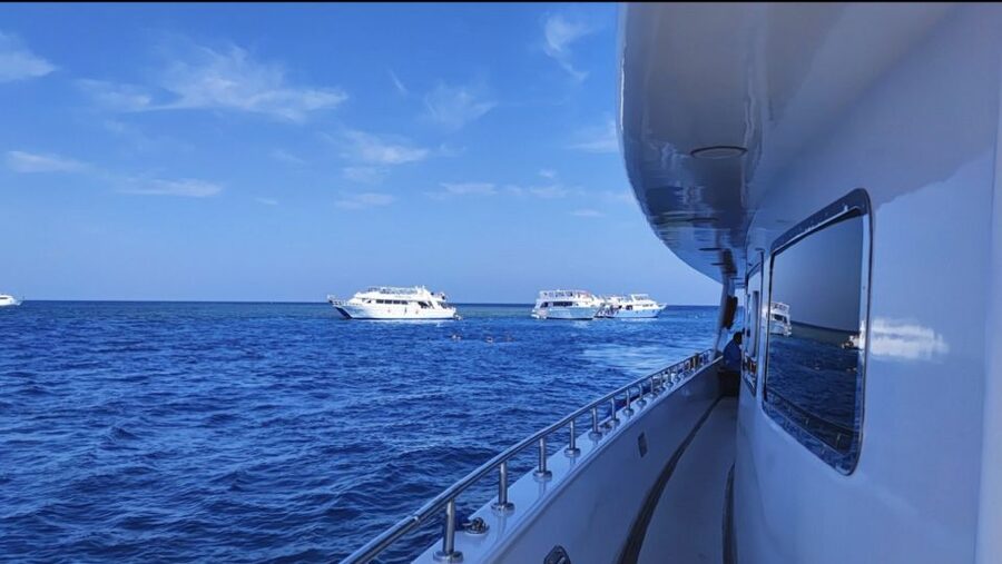 Sharm El-Sheikh: Luxury Ras Mohammed & White Island Cruise - White Island: a short, striking stop in shallow water