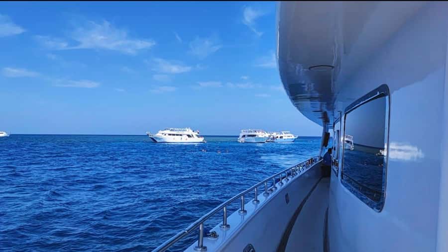Sharm El-Sheikh: Luxury Ras Mohammed & White Island Cruise - Timing, weather, and the few trade-offs