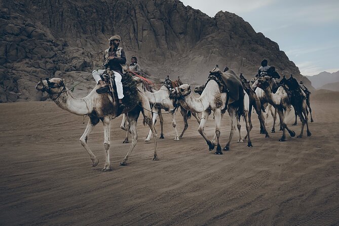 Sharm: Quad Bike or Car Buggy, Camel ride & optional VIP Bedouin Dinner & Show - Quad bikes, dune buggies, and the real length of the ride