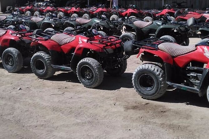 Sharm: Quad Bike or Car Buggy, Camel ride & optional VIP Bedouin Dinner & Show - Who should book this Sharm desert safari?