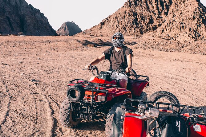 Sharm: Quad Bike or Car Buggy, Camel ride & optional VIP Bedouin Dinner & Show - The camel stop is more photo opportunity than ride