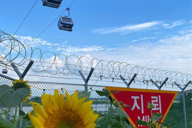 Signature DMZ Tour: Exclusive Defector Talk & Suspension Bridge - Entering the DMZ under military rules