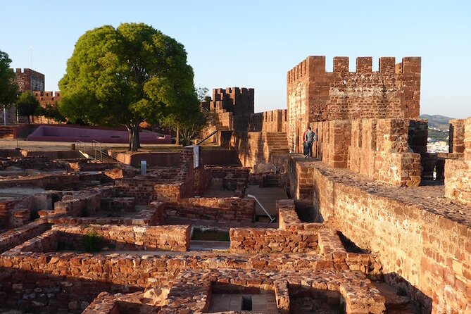 Silves and Monchique Wine Taste Premium - Private> VTours Algarve - Quinta Do Frances and three wines with local tapas