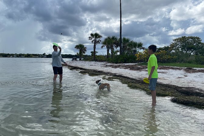 Single-Kayak Tour To Clearwater Island With Beach Setup Included! - What you see while paddling