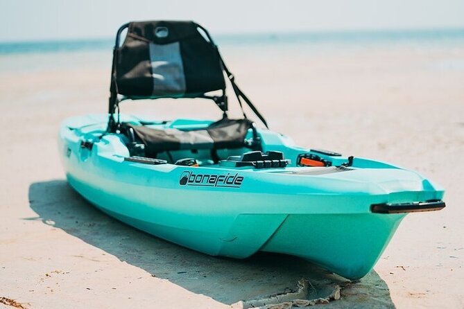 Single-Kayak Tour To Clearwater Island With Beach Setup Included! - Wildlife without a guaranteed script