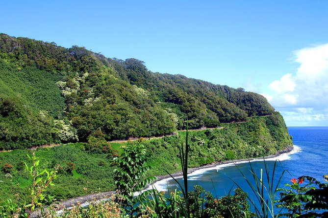 Small-Group Road to Hana Luxury Tour - The limo-van and the comfort question