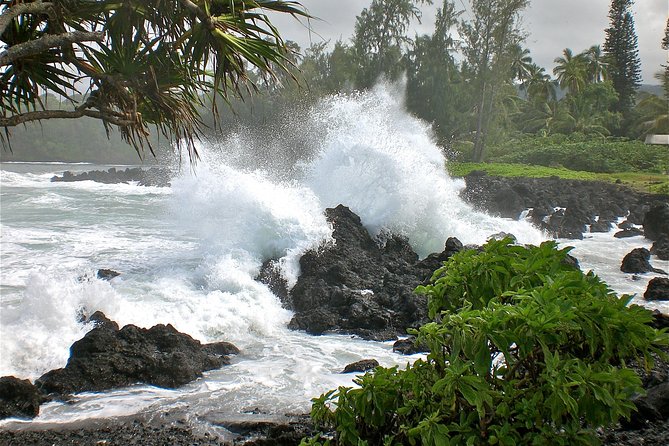 Small-Group Road to Hana Luxury Tour - Ke‘anae Point, taro fields, and rough Pacific surf