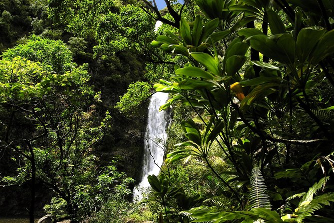 Small-Group Road to Hana Luxury Tour - What your guide adds to the day