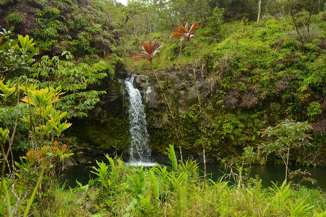Small-Group Road to Hana Luxury Tour - The long ride back to Maui