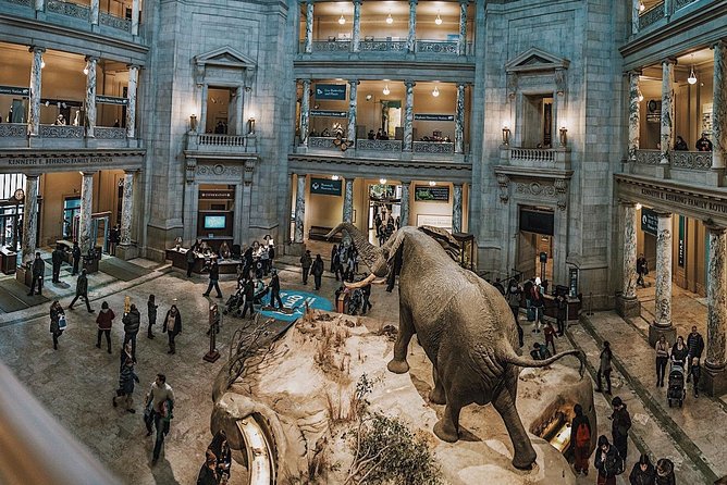 Smithsonian Museum of Natural History - Exclusive Guided Tour - Why a guide helps in an 18-football-field museum