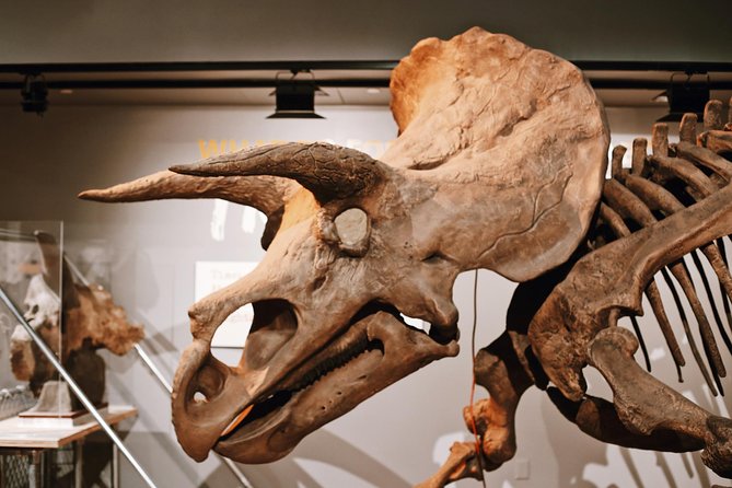 Smithsonian Museum of Natural History - Exclusive Guided Tour - Mammals, dinosaurs, and the stories behind familiar creatures