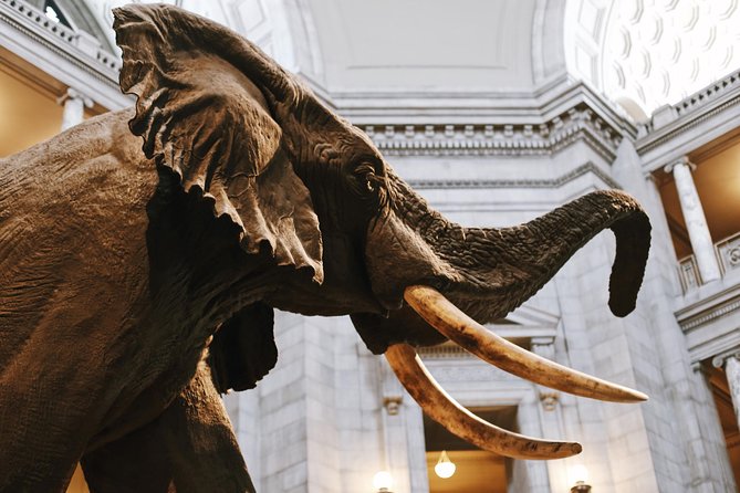Smithsonian Museum of Natural History - Exclusive Guided Tour - Ocean Hall, the coral reef, and Phoenix the whale