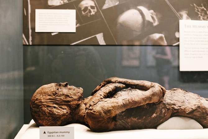 Smithsonian Museum of Natural History - Exclusive Guided Tour - Price, timing, and the practical tradeoff