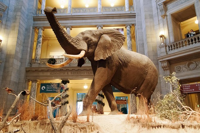 Smithsonian Museum of Natural History - Exclusive Guided Tour - The Hope Diamond and the museum’s glittering opening