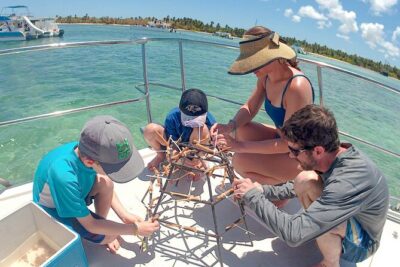 Snorkel Lovers for All Ages & Premium Seafood Lunch in Punta Cana