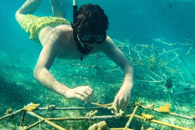 Snorkel Lovers for All Ages & Premium Seafood Lunch in Punta Cana - The Crew Makes the Difference