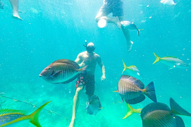Snorkel Lovers for All Ages & Premium Seafood Lunch in Punta Cana - Who Will Get the Most From This Tour?