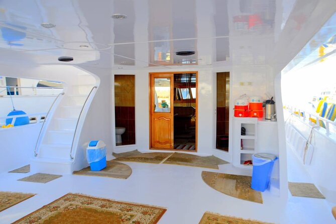 Snorkeling Day Trip To White Island And Ras Mohammed By VIP Boat - Key points before you book