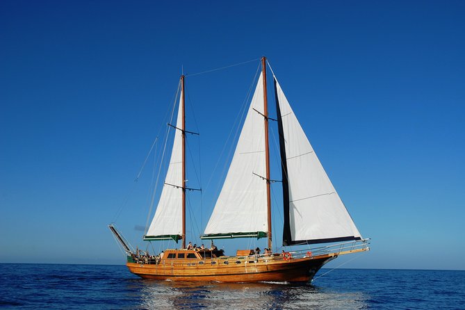 South Fuerteventura VIP Cruise on board a Turkish Gulet - What makes this Fuerteventura cruise worth considering