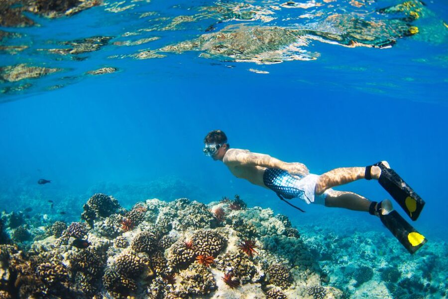 South Maui: Premium Turtle Town Kayak and Snorkel Tour - Key points to know before booking