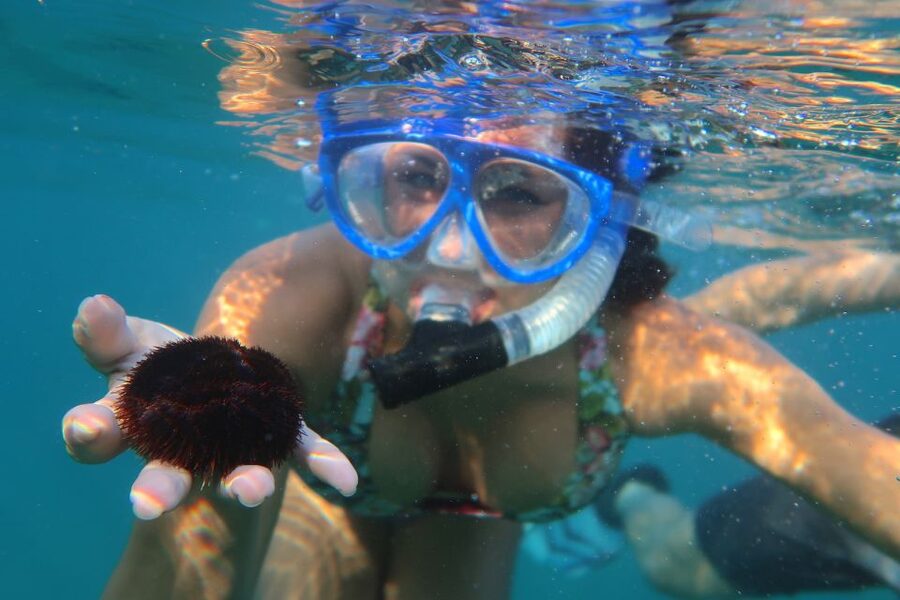 South Maui: Premium Turtle Town Kayak and Snorkel Tour - Paddling roughly two miles along Makena