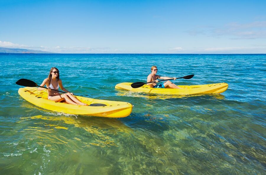 South Maui: Premium Turtle Town Kayak and Snorkel Tour - Snorkeling at two prime Turtle Town sites