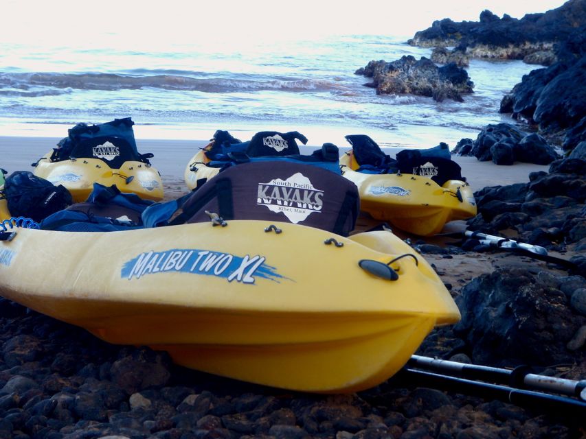 South Maui: Premium Turtle Town Kayak and Snorkel Tour - Winter can add humpback whales