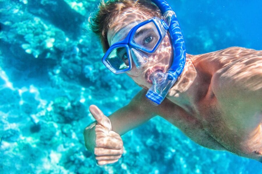 South Maui: Premium Turtle Town Kayak and Snorkel Tour - Is $151 a fair price?